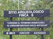 FINCA 6, megasitio arqueologico