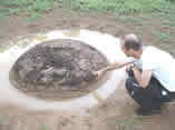 Autor del articulo con una esfera aun in situ en FINCA 6, Palmar Sur, CR